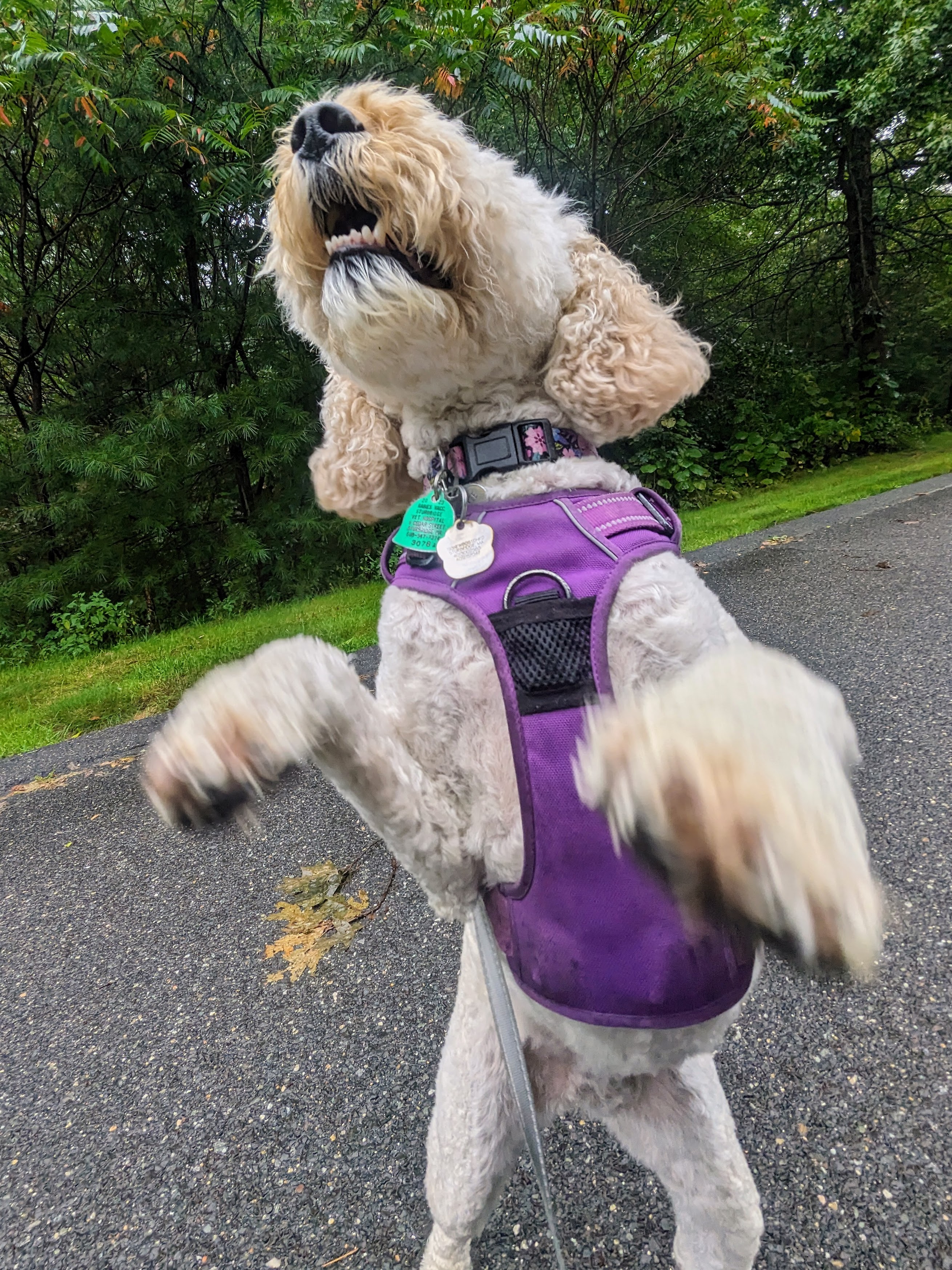 Rainy day fun! 😁