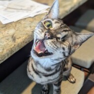 Inger Riley