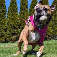 Picture of &nbsp;&nbsp;Sayde