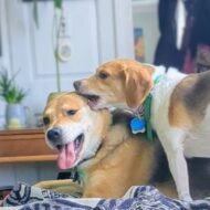 Picture of &nbsp;&nbsp;Molly + Sawyer