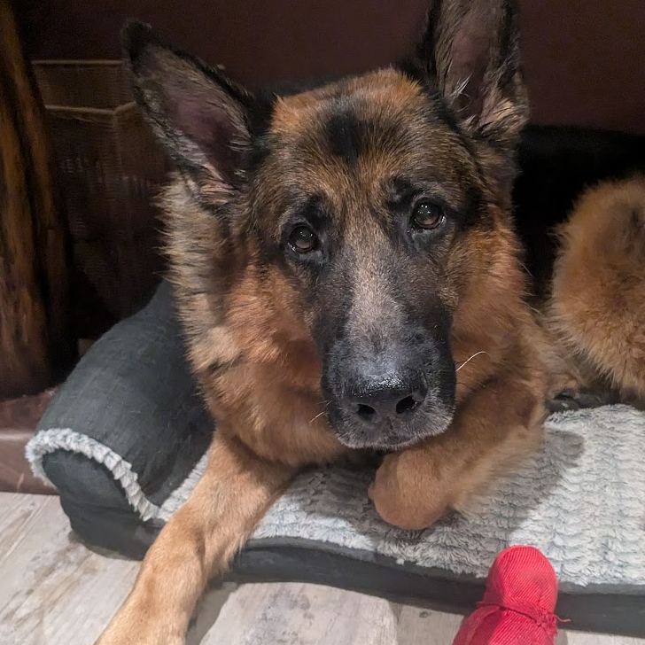 Max