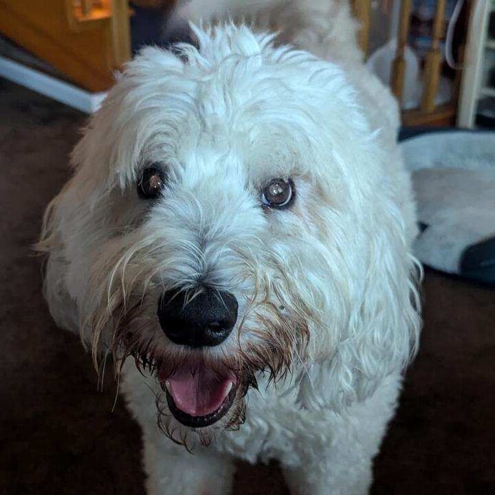 Monty